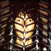 YESFAN1958's Avatar